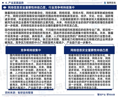 2024-2030年中國網(wǎng)絡(luò)信息安全行業(yè)市場調(diào)查研究及發(fā)展前景規(guī)劃報告