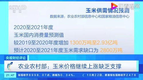 央視調(diào)查 玉米價格高漲掀波瀾，市場變化多端，未來走勢如何？